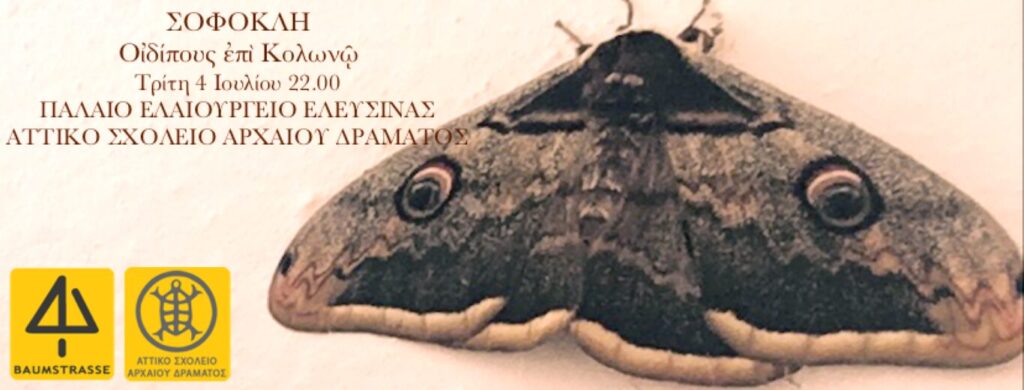 Οιδίπους επί Κολωνώ