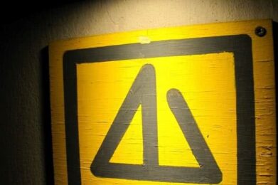 imgi_53_baumm-Medium