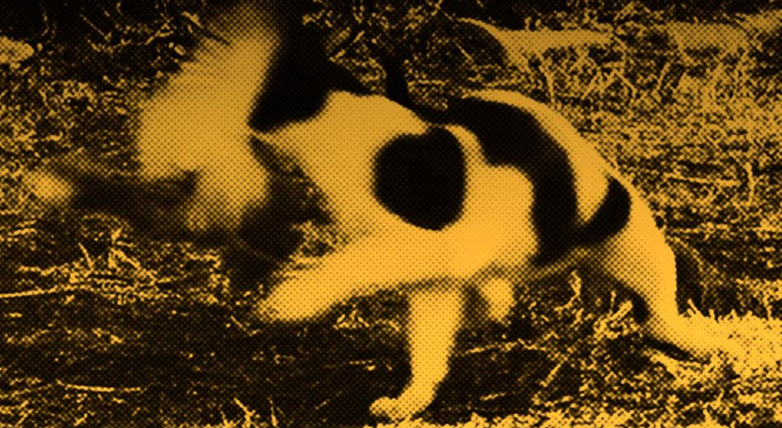 shmeiwseis-gia-mia-oresteia 1 Απριλίου: Σημειώσεις για μια Ορέστεια στην πανδημία